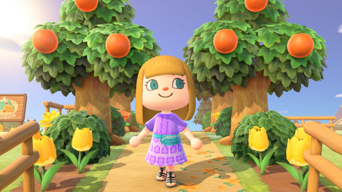 A Beginners Guide to Animal Crossing New Horizons - Level Up Gamer Wear